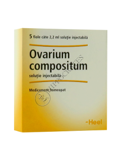 Ovarium compositum