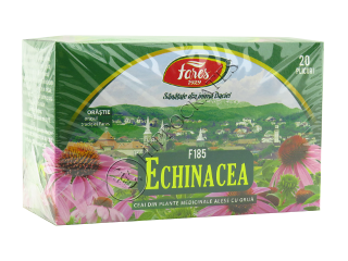 Echinacea purpurea (Echinacea, Эхинацея) flores