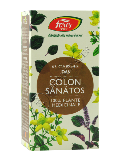 Colon sanatos