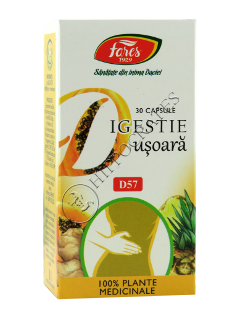 Digestie usoara