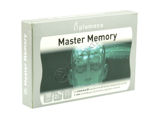 Master Memory