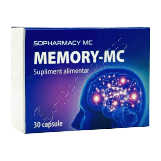 Мемори-МС